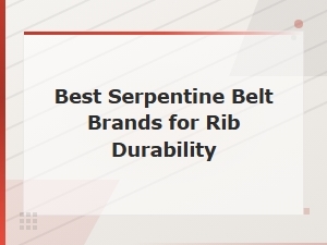 Best Serpentine Belt Brands for Rib Durability